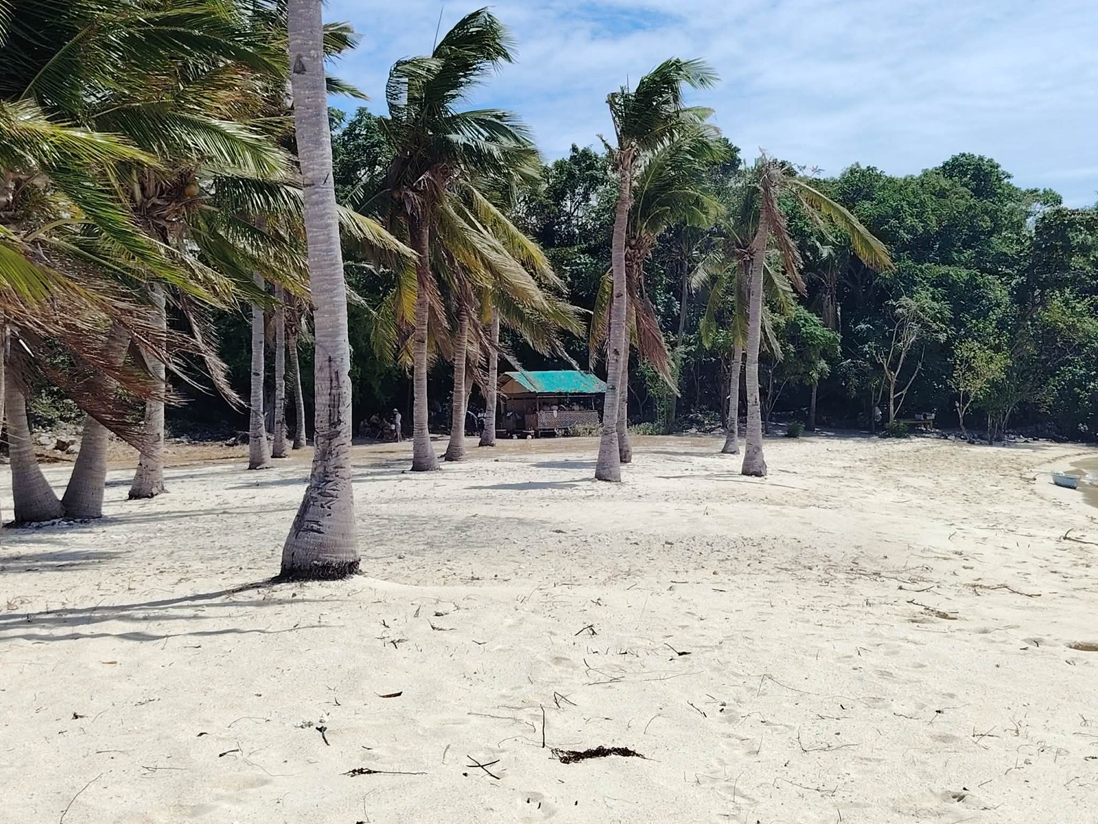 634012125_751621097748449_7493846757667367026_n