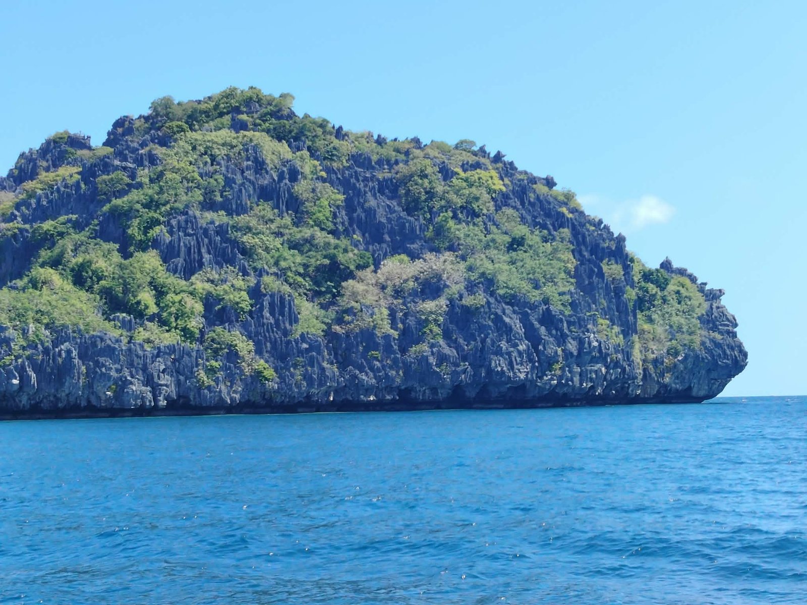 c33bb8f3-d3af-451e-860f-19bdddcedf3b