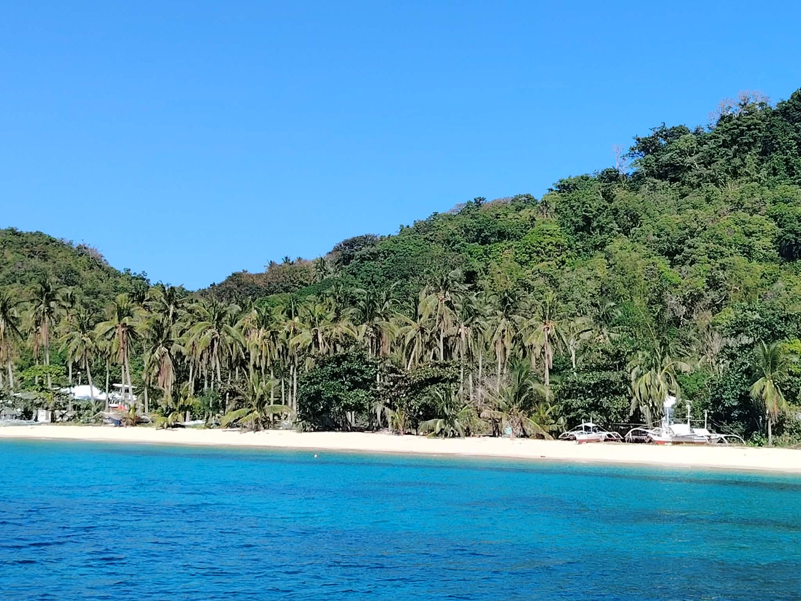 0e74eb9e-a37e-44c3-ae01-2c02ae739f36